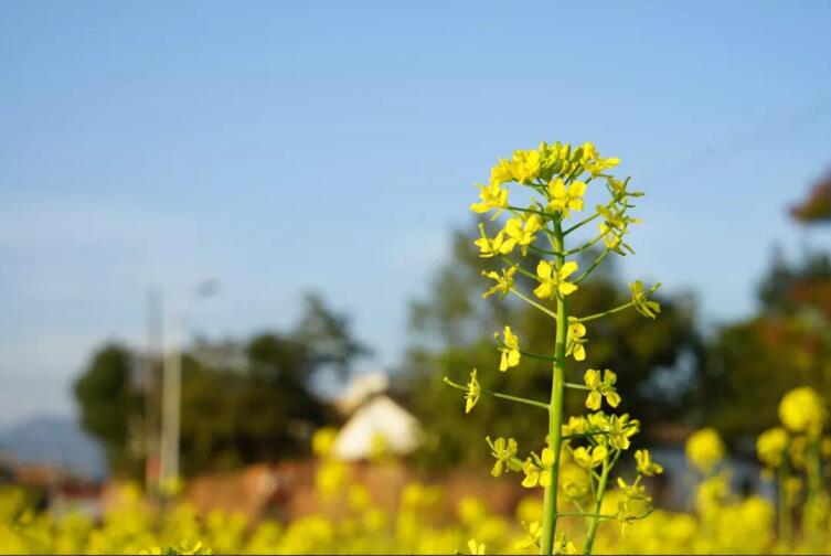 春季該如何預(yù)防控制高血壓？