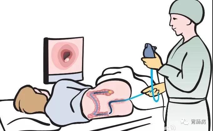 “胃”你好嗎？“腸”來看看！