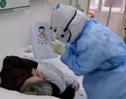 紙上生花 畫(huà)中有愛(ài)