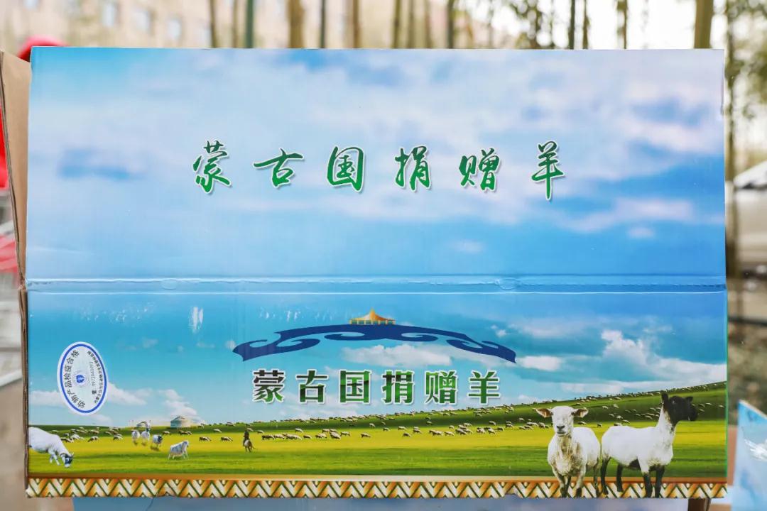 援鄂醫(yī)療隊：“暖羊羊”來啦！