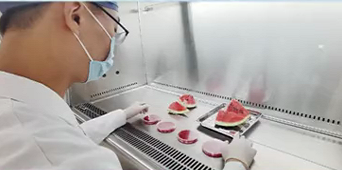 科學(xué)實驗室2