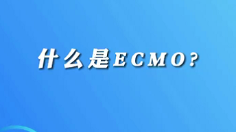 【名醫(yī)面對面之心臟100問】什么是ECMO？