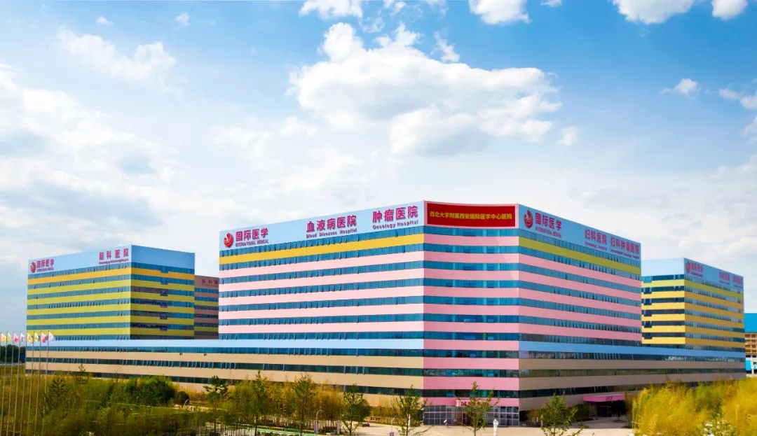 手心飆汗不止并非社恐，告訴你如何告別“水手”尷尬