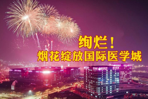 絢爛！煙花綻放國際醫(yī)學(xué)城
